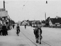 Mitnica na Savskoj 1941. godine